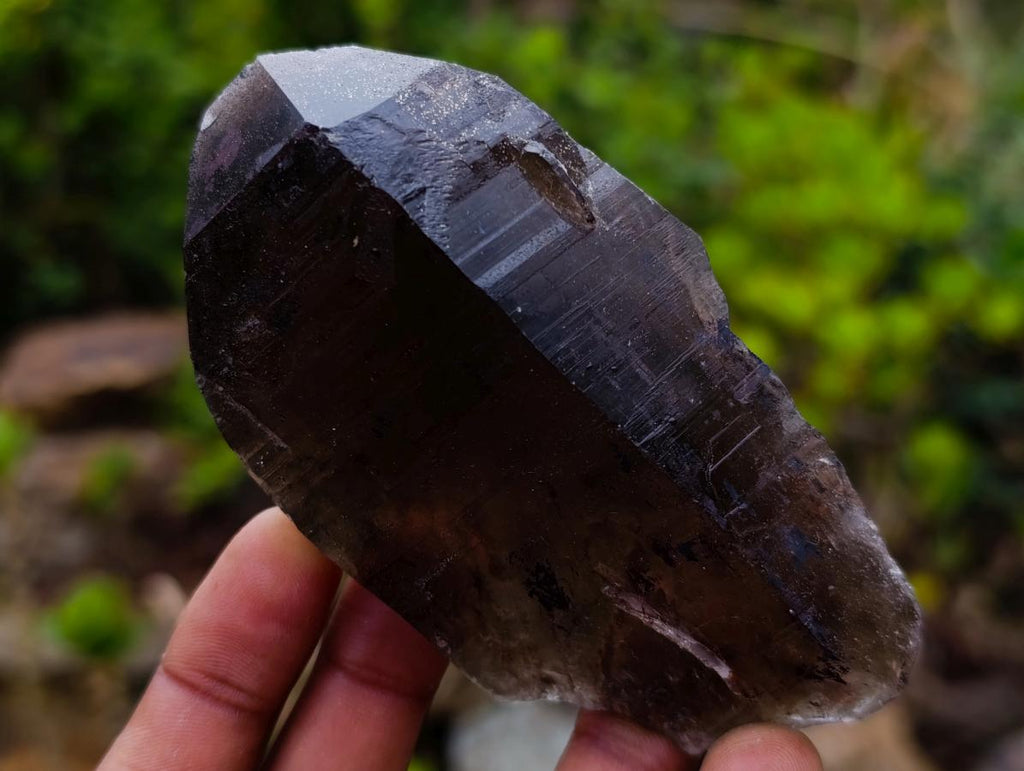 Natural Smokey Quartz and Clear Smokey Quartz Crystals x 6 From Zomba Plateau, Malawi - Toprock Gemstones and Minerals 
