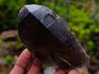 Natural Smokey Quartz and Clear Smokey Quartz Crystals x 6 From Zomba Plateau, Malawi - Toprock Gemstones and Minerals 