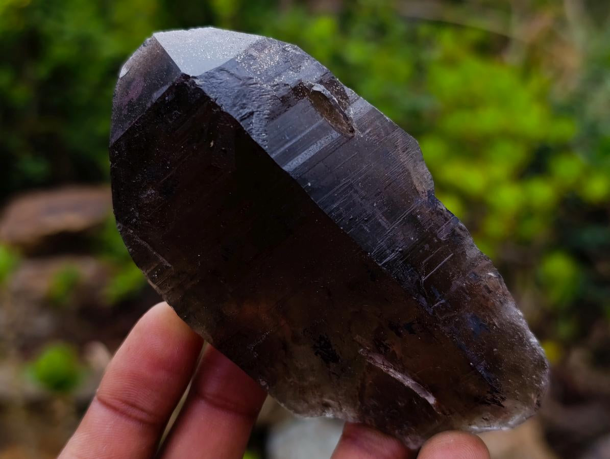 Natural Smokey Quartz and Clear Smokey Quartz Crystals x 6 From Zomba Plateau, Malawi - Toprock Gemstones and Minerals 
