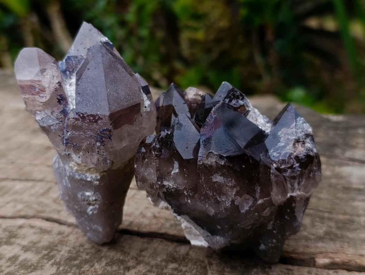 Natural Smokey Quartz and Clear Smokey Quartz Crystals x 6 From Zomba Plateau, Malawi - Toprock Gemstones and Minerals 
