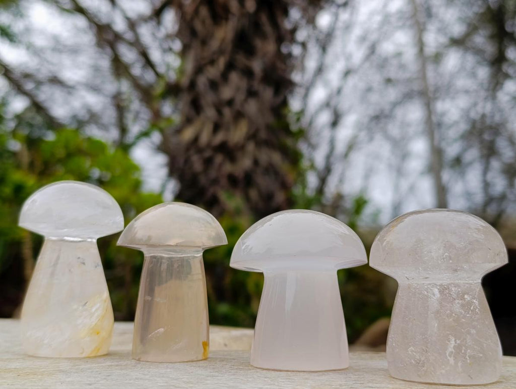 Polished Clear Quartz Mushrooms x 12 From Madagascar - Toprock Gemstones and Minerals 