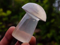 Polished Clear Quartz Mushrooms x 12 From Madagascar - Toprock Gemstones and Minerals 
