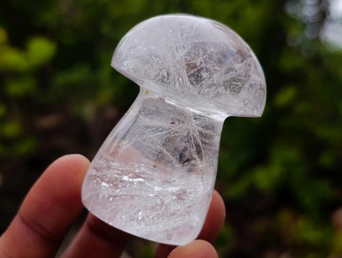 Polished Clear Quartz Mushrooms x 12 From Madagascar - Toprock Gemstones and Minerals 