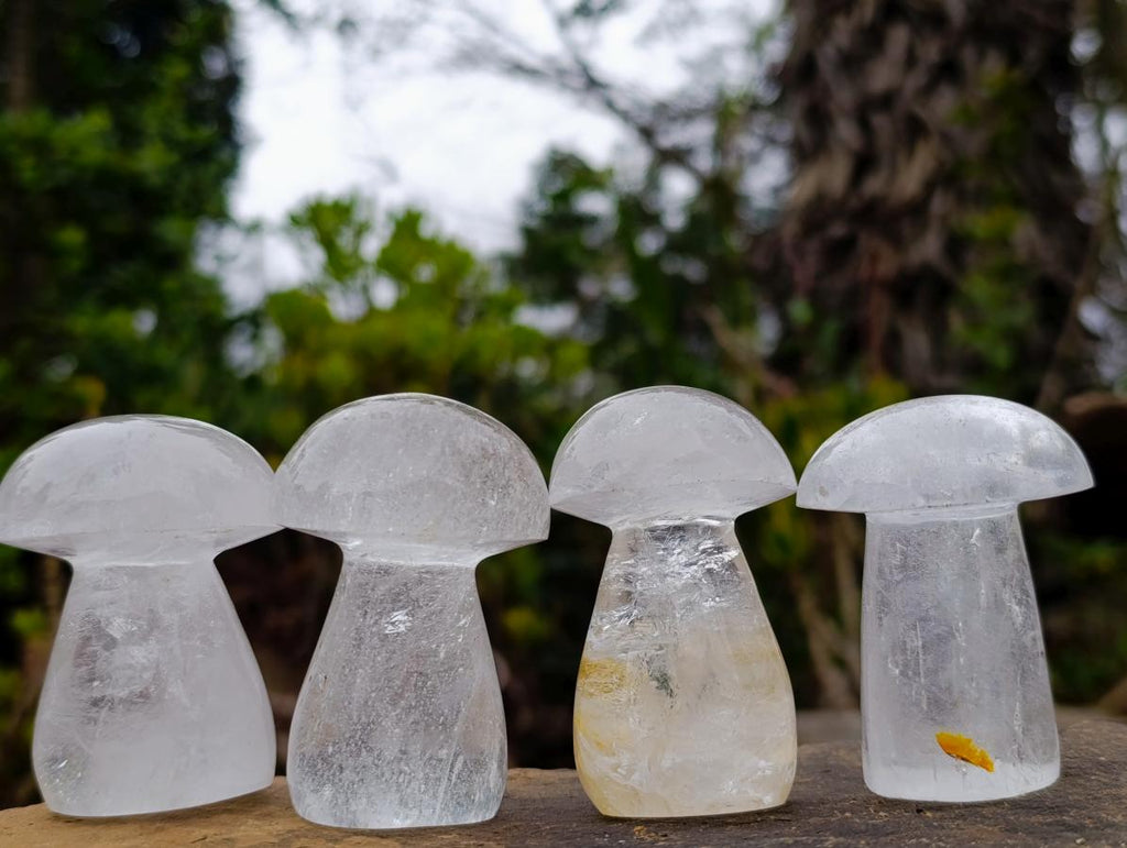Polished Clear Quartz Mushrooms x 12 From Madagascar - Toprock Gemstones and Minerals 