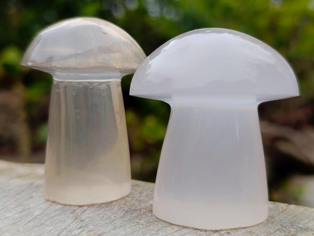 Polished Clear Quartz Mushrooms x 12 From Madagascar - Toprock Gemstones and Minerals 