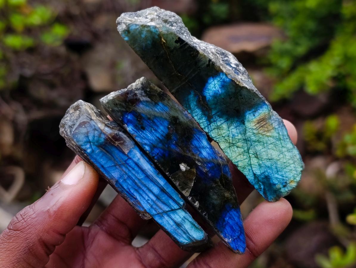 Polished One Side Labradorite Slices x 25 From Madagascar - Toprock Gemstones and Minerals 