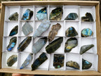Polished One Side Labradorite Slices x 25 From Madagascar - Toprock Gemstones and Minerals 