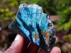 Polished One Side Labradorite Slices x 25 From Madagascar - Toprock Gemstones and Minerals 