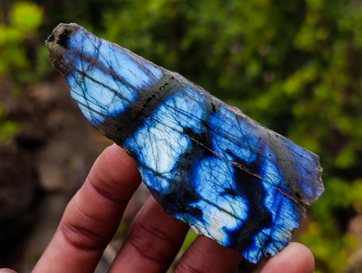 Polished One Side Labradorite Slices x 25 From Madagascar - Toprock Gemstones and Minerals 