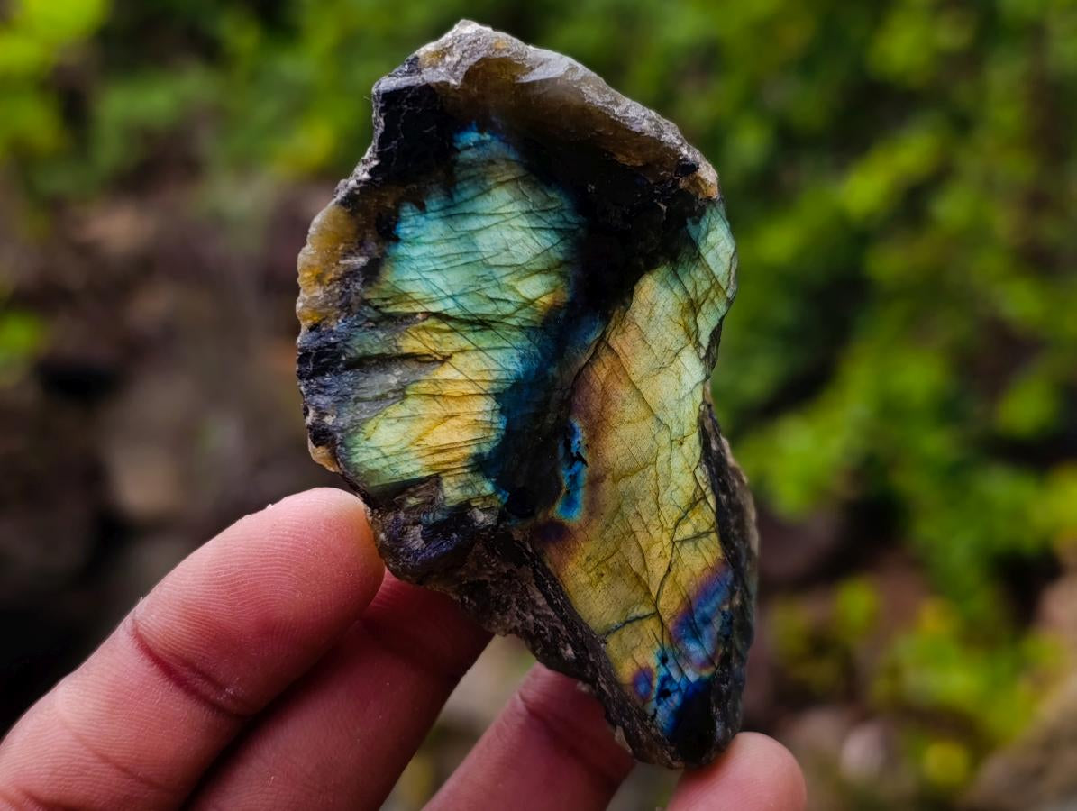 Polished One Side Labradorite Slices x 25 From Madagascar - Toprock Gemstones and Minerals 