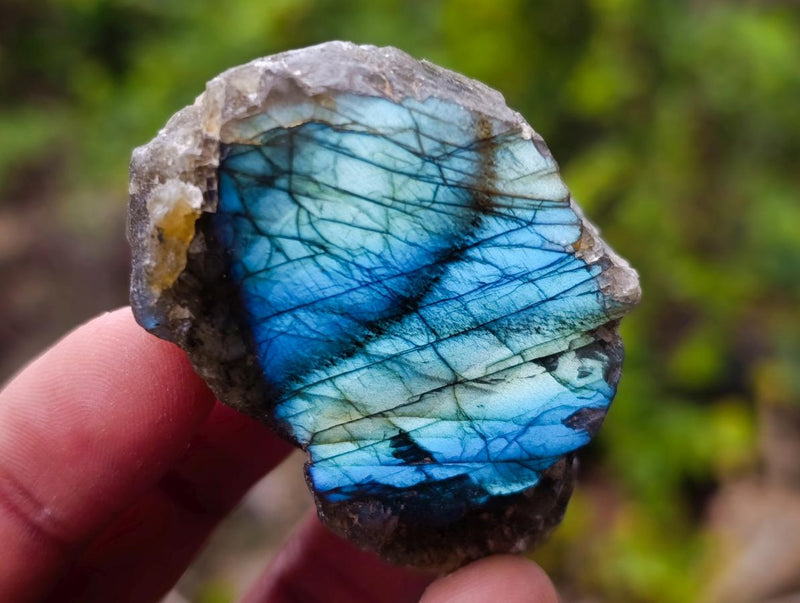 Polished One Side Labradorite Slices x 25 From Madagascar - Toprock Gemstones and Minerals 