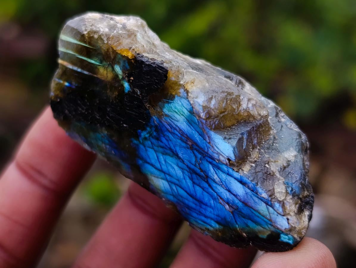 Polished One Side Labradorite Slices x 25 From Madagascar - Toprock Gemstones and Minerals 