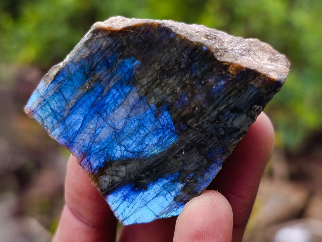Polished One Side Labradorite Slices x 25 From Madagascar - Toprock Gemstones and Minerals 