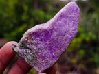 Natural Cobbed Stichtite Specimens x 35 From Barberton, South Africa - Toprock Gemstones and Minerals 