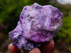 Natural Cobbed Stichtite Specimens x 35 From Barberton, South Africa - Toprock Gemstones and Minerals 