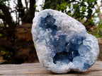 Natural Large Blue Celestite Geode Specimen x 1 From Sakoany, Madagascar - Toprock Gemstones and Minerals 