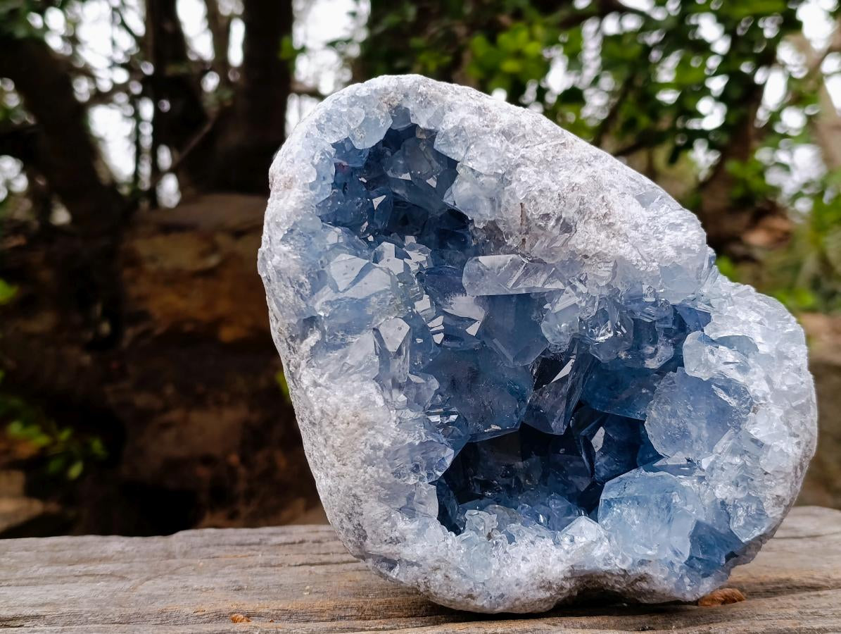 Natural Large Blue Celestite Geode Specimen x 1 From Sakoany, Madagascar - Toprock Gemstones and Minerals 