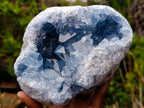 Natural Large Blue Celestite Geode Specimen x 1 From Sakoany, Madagascar - Toprock Gemstones and Minerals 