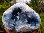 Natural Large Blue Celestite Geode Specimen x 1 From Sakoany, Madagascar - Toprock Gemstones and Minerals 