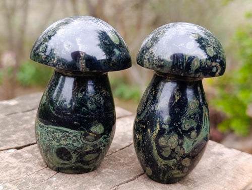 Polished Stromatolite "Kambamba Jasper" Mushrooms x 6 From Katsepy, Madagascar - Toprock Gemstones and Minerals 