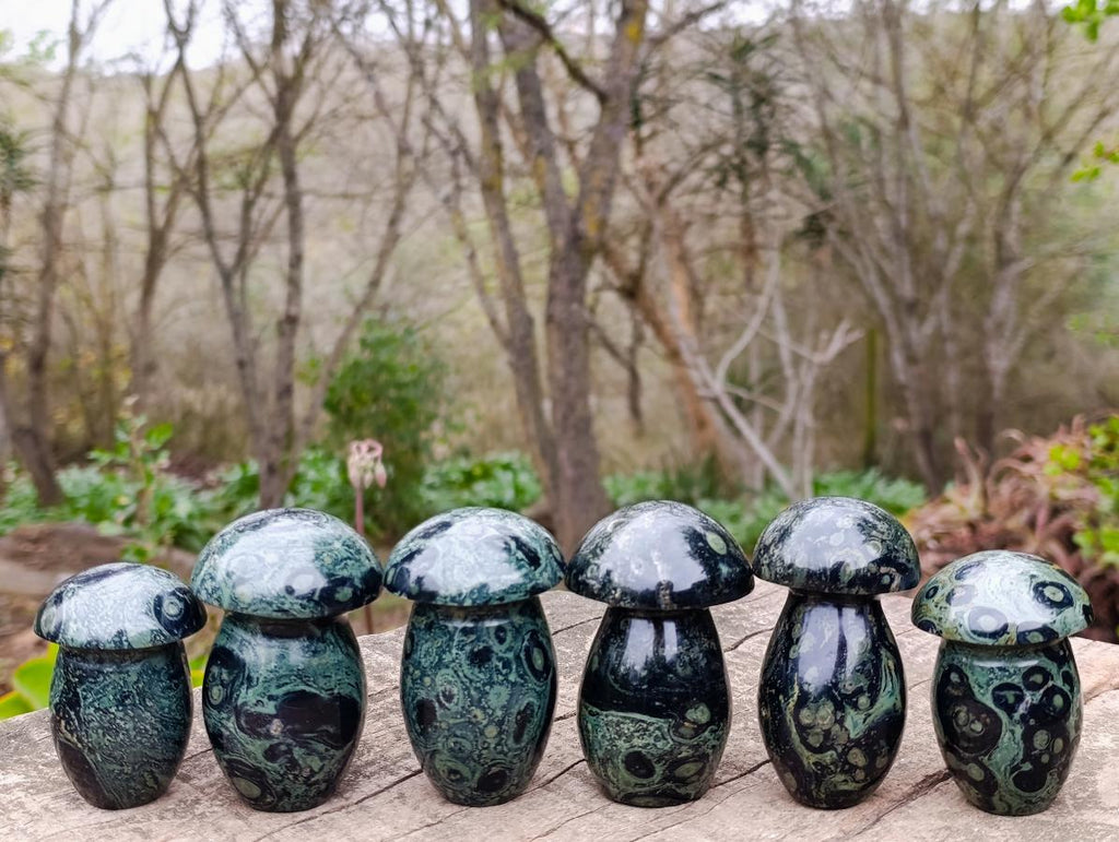 Polished Stromatolite "Kambamba Jasper" Mushrooms x 6 From Katsepy, Madagascar - Toprock Gemstones and Minerals 