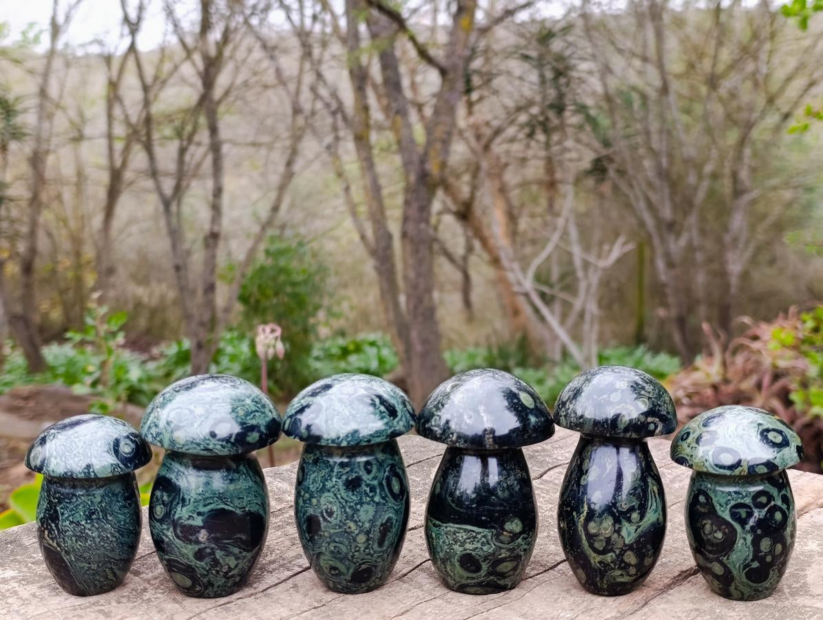 Polished Stromatolite "Kambamba Jasper" Mushrooms x 6 From Katsepy, Madagascar - Toprock Gemstones and Minerals 