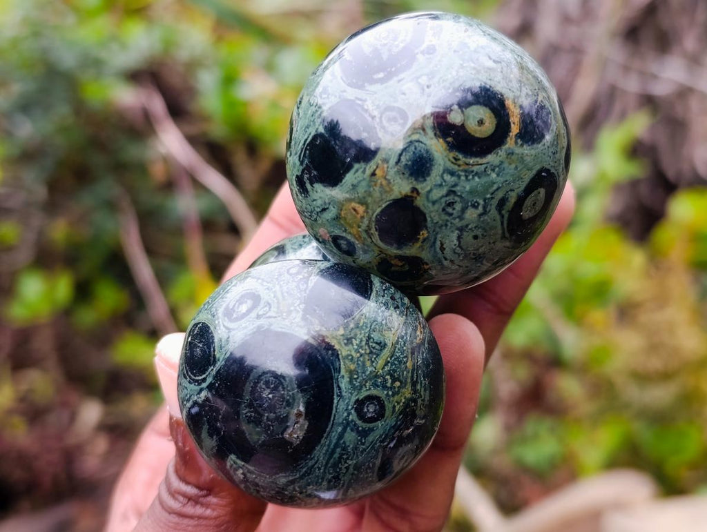 Polished Stromatolite "Kambamba Jasper" Mushrooms x 6 From Katsepy, Madagascar - Toprock Gemstones and Minerals 