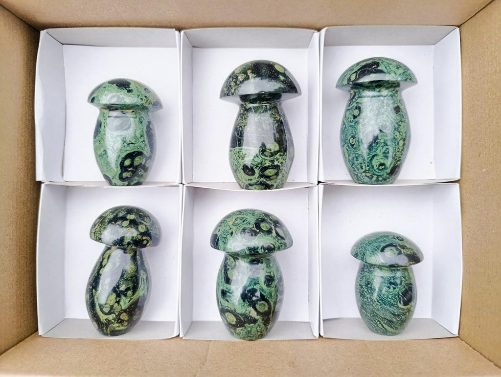 Polished Stromatolite "Kambamba Jasper" Mushrooms x 6 From Katsepy, Madagascar - Toprock Gemstones and Minerals 