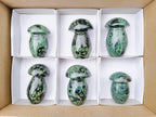 Polished Stromatolite "Kambamba Jasper" Mushrooms x 6 From Katsepy, Madagascar - Toprock Gemstones and Minerals 