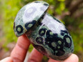 Polished Stromatolite "Kambamba Jasper" Mushrooms x 6 From Katsepy, Madagascar - Toprock Gemstones and Minerals 