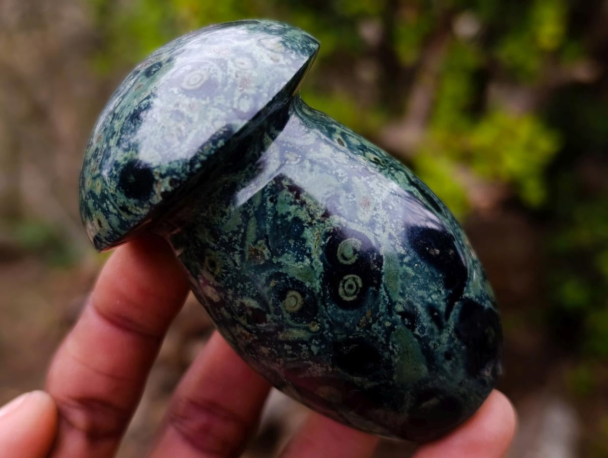 Polished Stromatolite "Kambamba Jasper" Mushrooms x 6 From Katsepy, Madagascar - Toprock Gemstones and Minerals 