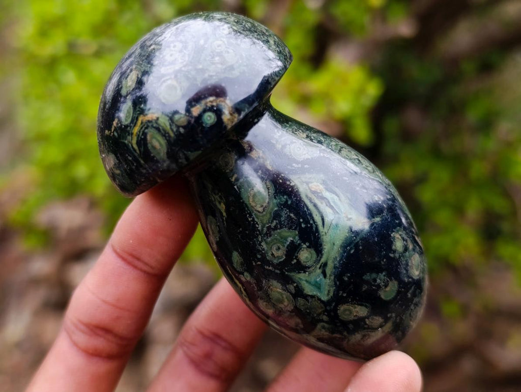 Polished Stromatolite "Kambamba Jasper" Mushrooms x 6 From Katsepy, Madagascar - Toprock Gemstones and Minerals 
