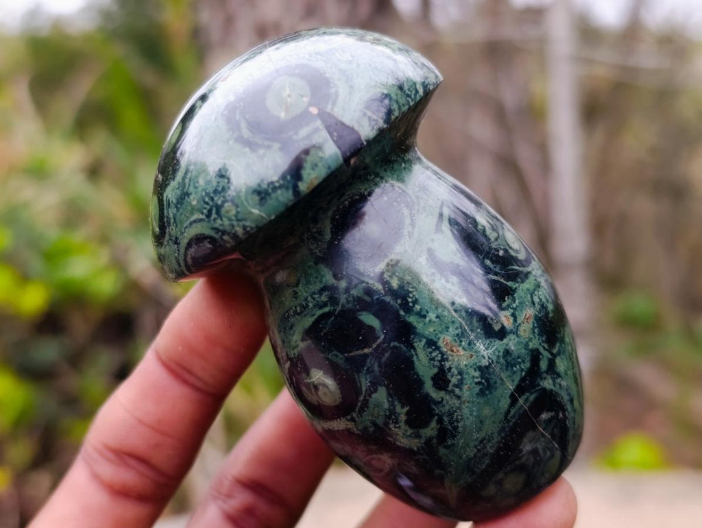 Polished Stromatolite "Kambamba Jasper" Mushrooms x 6 From Katsepy, Madagascar - Toprock Gemstones and Minerals 