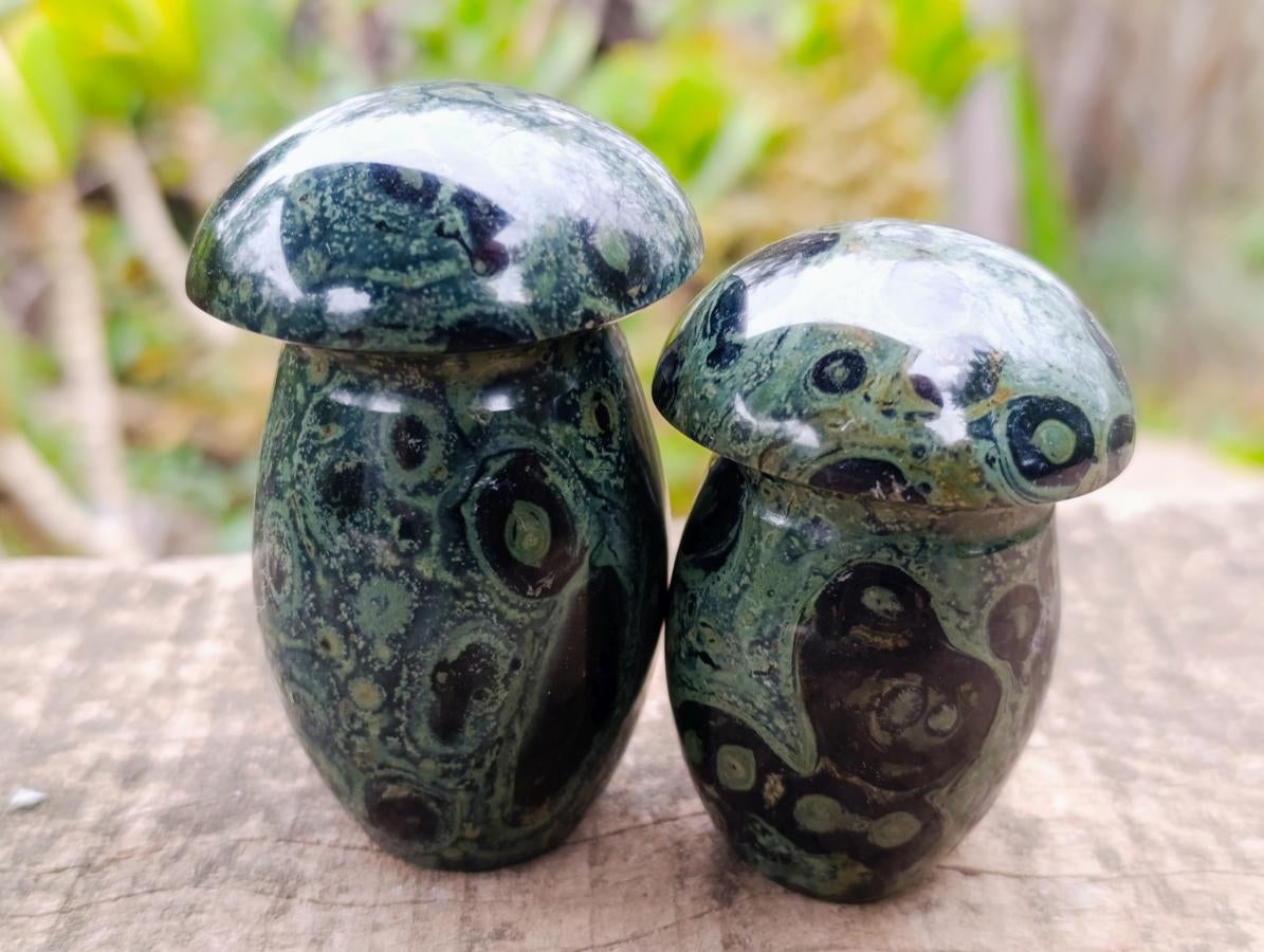 Polished Stromatolite "Kambamba Jasper" Mushrooms x 6 From Katsepy, Madagascar - Toprock Gemstones and Minerals 