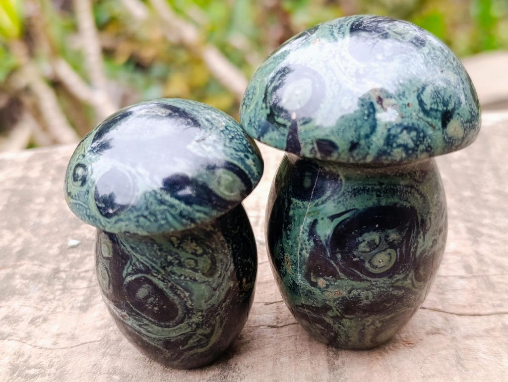 Polished Stromatolite "Kambamba Jasper" Mushrooms x 6 From Katsepy, Madagascar - Toprock Gemstones and Minerals 