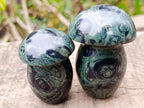 Polished Stromatolite "Kambamba Jasper" Mushrooms x 6 From Katsepy, Madagascar - Toprock Gemstones and Minerals 