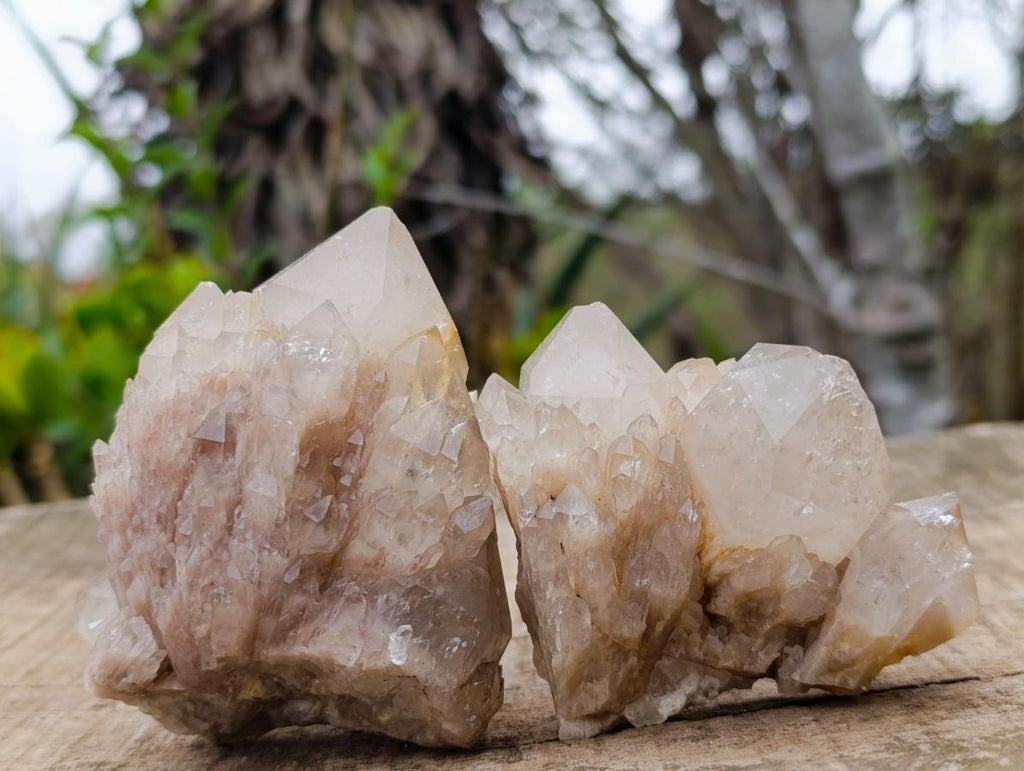 Natural Cascading White Phantom Smokey Luena Quartz Clusters x 6 From Luena, Congo - Toprock Gemstones and Minerals 