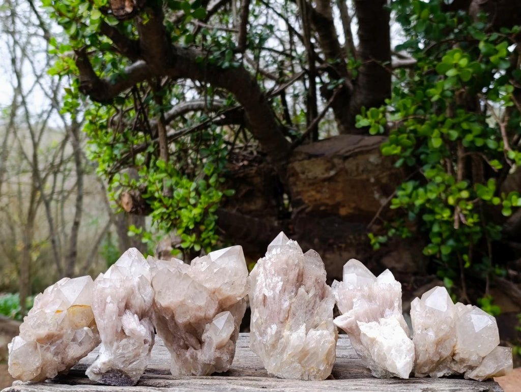 Natural Cascading White Phantom Smokey Luena Quartz Clusters x 6 From Luena, Congo - Toprock Gemstones and Minerals 