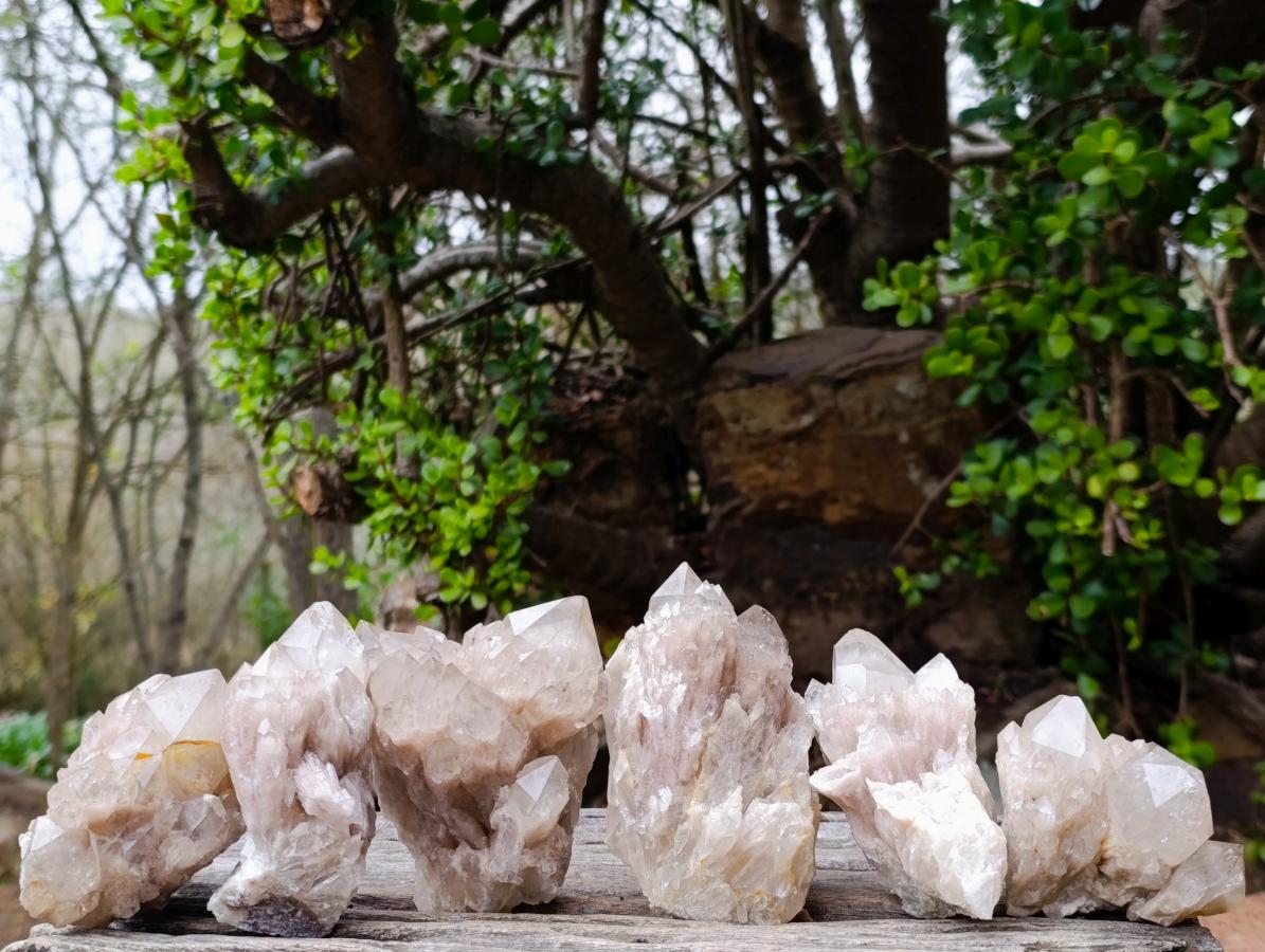 Natural Cascading White Phantom Smokey Luena Quartz Clusters x 6 From Luena, Congo - Toprock Gemstones and Minerals 