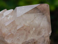 Natural Cascading White Phantom Smokey Luena Quartz Clusters x 6 From Luena, Congo - Toprock Gemstones and Minerals 