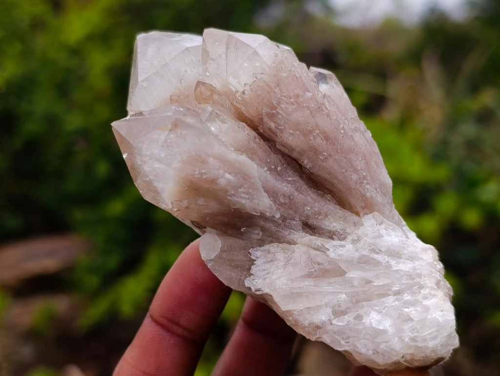 Natural Cascading White Phantom Smokey Luena Quartz Clusters x 6 From Luena, Congo - Toprock Gemstones and Minerals 