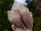 Natural Cascading White Phantom Smokey Luena Quartz Clusters x 6 From Luena, Congo - Toprock Gemstones and Minerals 