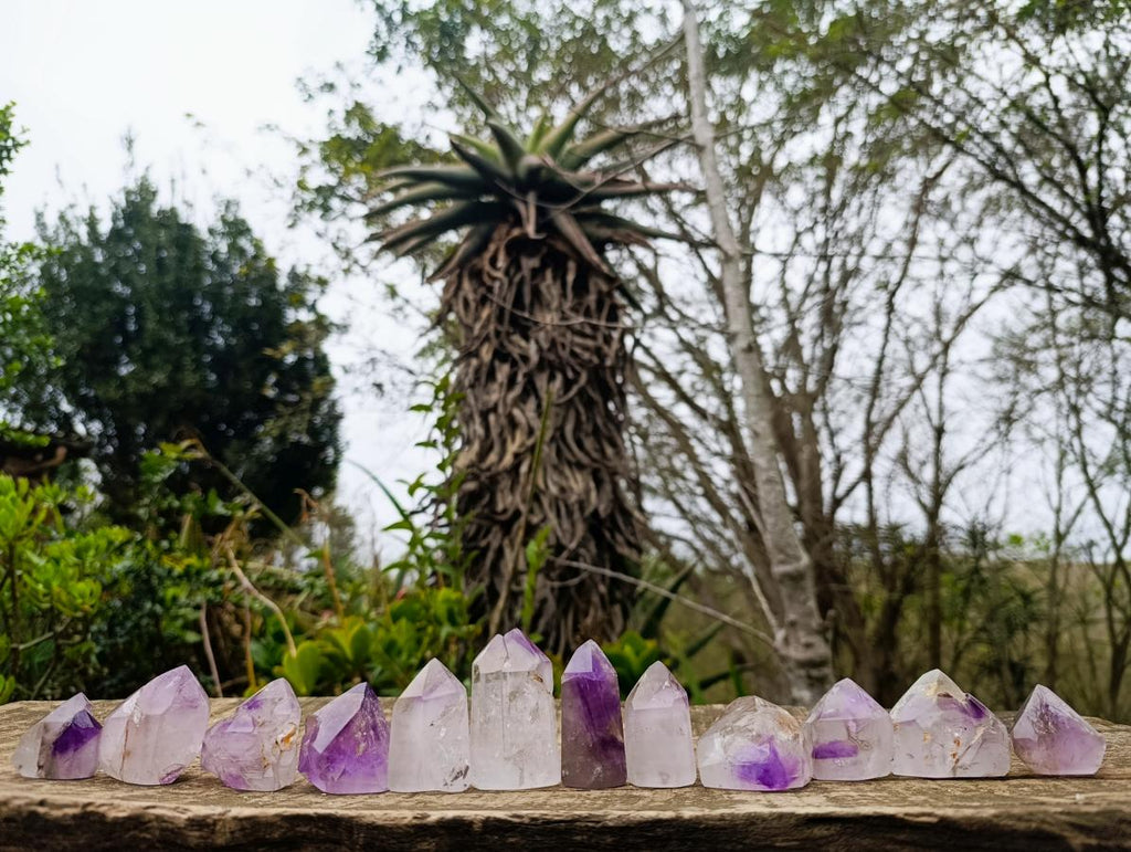 Polished Window Amethyst Crystals x 12 From Akansobe, Madagascar - Toprock Gemstones and Minerals 