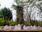 Polished Window Amethyst Crystals x 12 From Akansobe, Madagascar - Toprock Gemstones and Minerals 