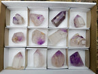 Polished Window Amethyst Crystals x 12 From Akansobe, Madagascar - Toprock Gemstones and Minerals 