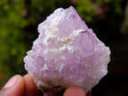 Natural Sunburst Spirit Amethyst Clusters x 12 From Boekenhouthoek, South Africa - Toprock Gemstones and Minerals 