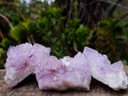 Natural Sunburst Spirit Amethyst Clusters x 12 From Boekenhouthoek, South Africa - Toprock Gemstones and Minerals 