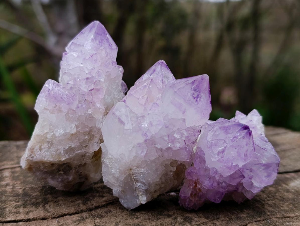 Natural Sunburst Spirit Amethyst Clusters x 12 From Boekenhouthoek, South Africa - Toprock Gemstones and Minerals 