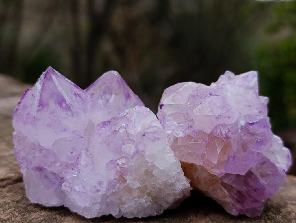 Natural Sunburst Spirit Amethyst Clusters x 12 From Boekenhouthoek, South Africa - Toprock Gemstones and Minerals 