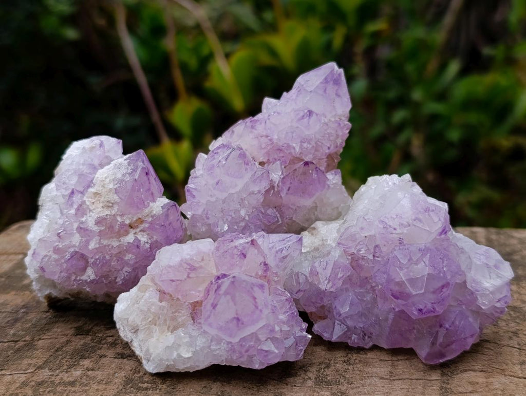 Natural Sunburst Spirit Amethyst Clusters x 12 From Boekenhouthoek, South Africa - Toprock Gemstones and Minerals 
